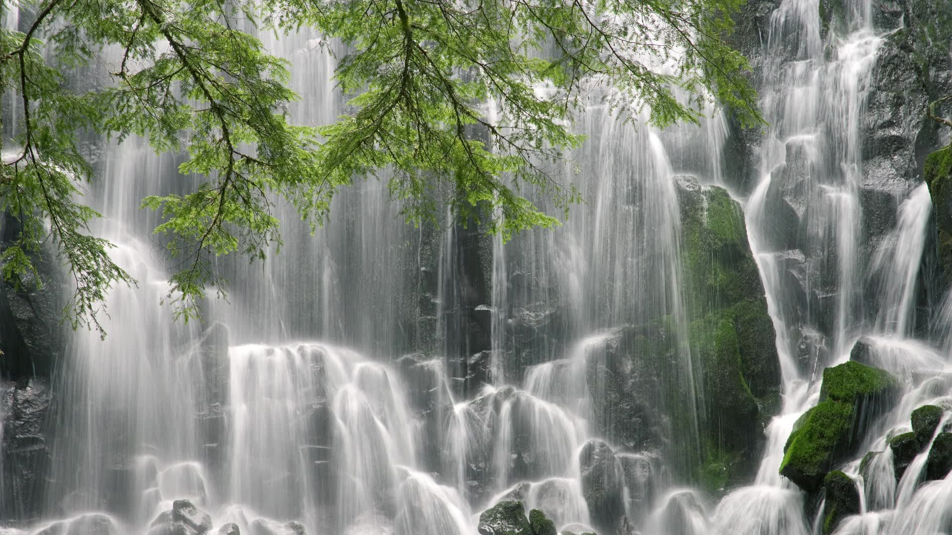 世界网球多球场联动赛:赛事运营效率提升,世界网球联合会总部